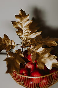 Red apples and golden oak leaves thumbnail