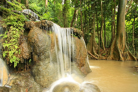 photo of running water in forest thumbnail