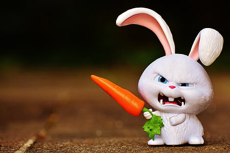 white rabbit holding carrot thumbnail