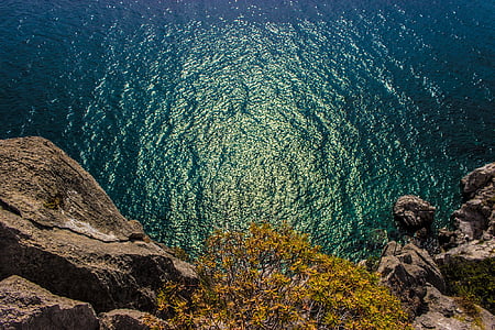 plants and cliff and body of water thumbnail