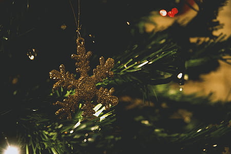 Green Christmas Tree thumbnail