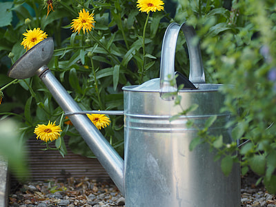 grey watering can thumbnail