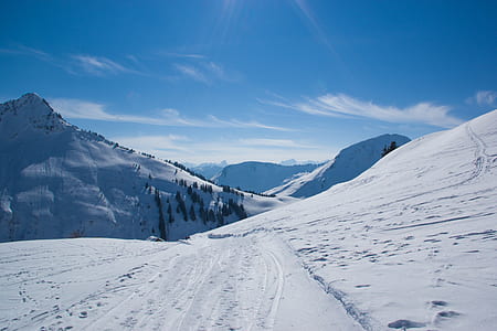 snow-covered mountain with trees during daytime thumbnail