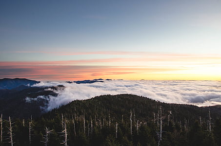wide angle photo of sea of clouds thumbnail