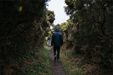 man wearing blue hooded jacket walking on forest thumbnail