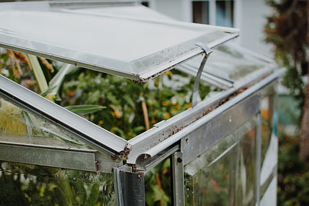 clear glass container with plant thumbnail