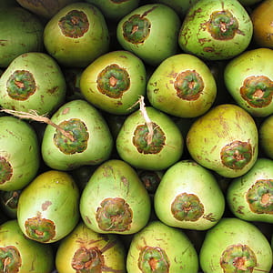 flat lay photography of bunch of coconuts thumbnail