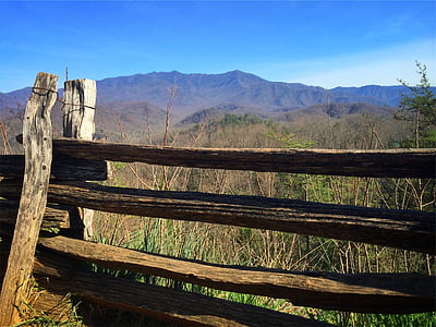 brown wooden fence beside grass field thumbnail