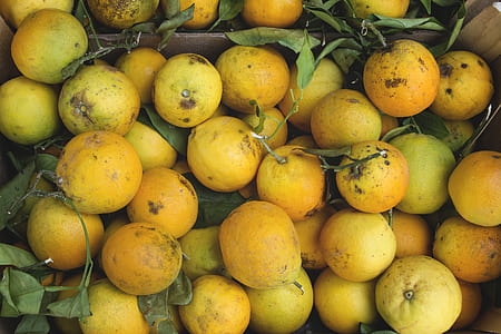 low light photography of lemons thumbnail