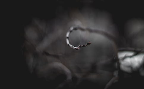 gray scale steam photo thumbnail