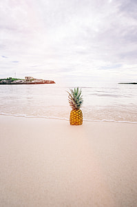 pineapple on seashore thumbnail