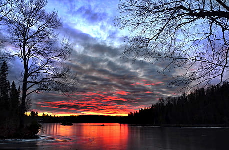 wood, light, dawn, landscape thumbnail