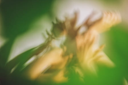 blur, abstract, hand, green thumbnail