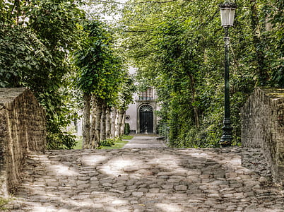 green trees near black post lantern during daytime thumbnail