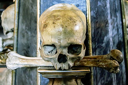 skull decor on top of brown column thumbnail