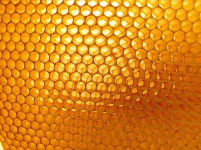 close up photo of beehive thumbnail