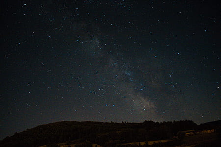 landscape photography of trees under night sky thumbnail