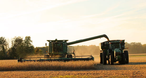 black combine harvester near rice field thumbnail