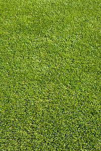 green grass thumbnail