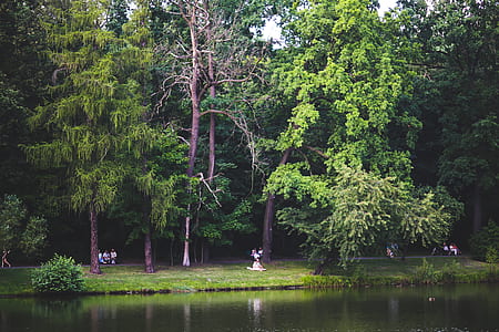 People in the park thumbnail