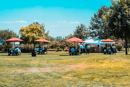 People Under Red Umbrellas thumbnail