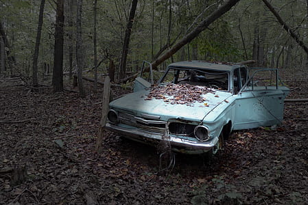 classic teal vehicle in middle of forest thumbnail