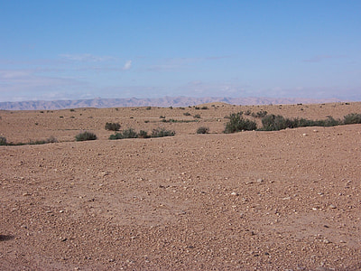 brown sand desert with green grass under blue skies thumbnail