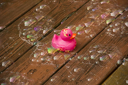 pink bathroom duck on wooden surface with bubbles thumbnail