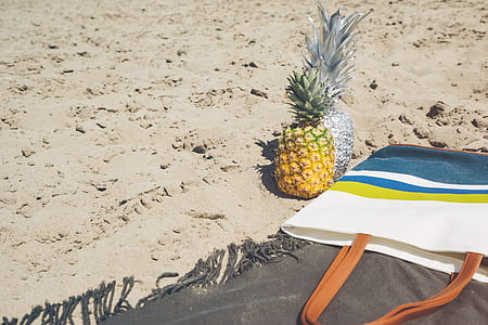 landscape, sunny, sand, relaxation thumbnail