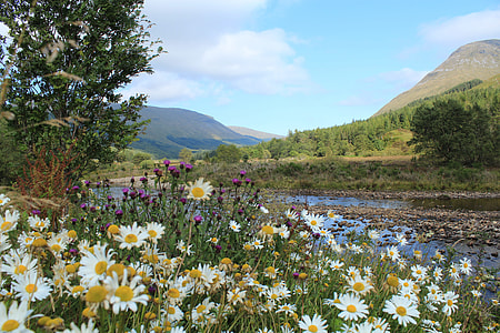 Scotland, Highlands And Islands thumbnail