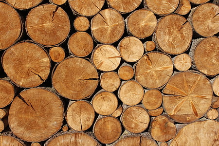chopped tree logs thumbnail