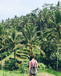 Woman Standing Near Palm Trees thumbnail