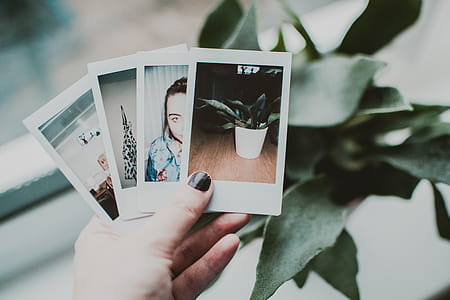Person Holding Photos thumbnail