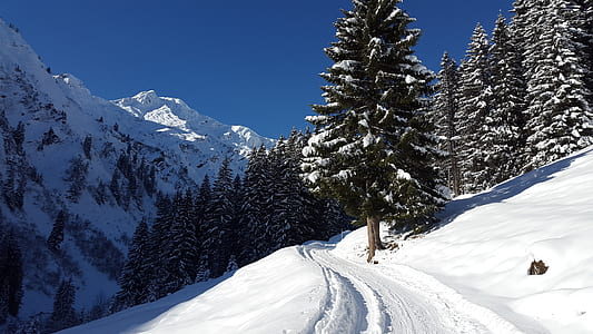 pathway covered with snow thumbnail