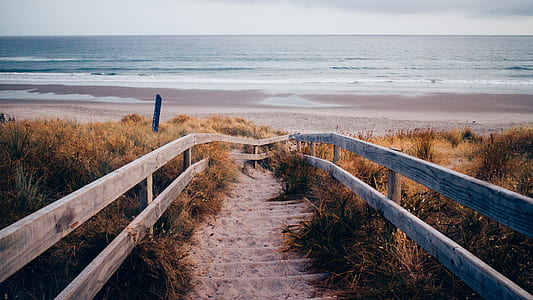 stairs surrounded with grass near the sea thumbnail