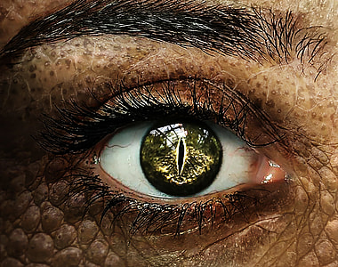 person with reptile eye close up photo thumbnail