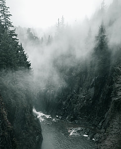 river with fog during daytime thumbnail