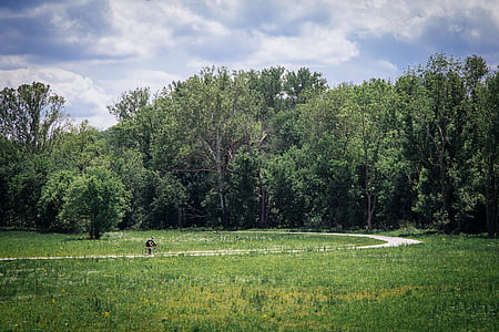 green trees under cloudy sky during daytime thumbnail