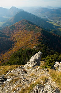 Mountains Covered With Trees thumbnail