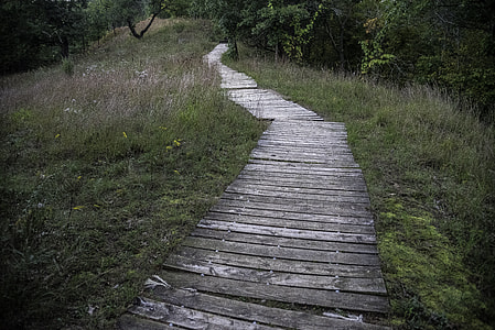 Boardwalk Path at Ferry Bluff thumbnail