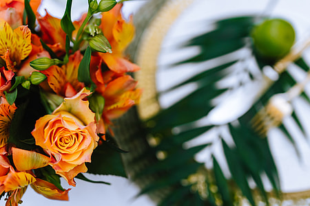Colorful Exotic Flowers and Greenery thumbnail