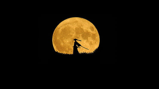 silhouette of person holding sword during full moon thumbnail