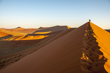 person walking on sand covered ground thumbnail