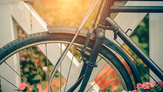 macro photography of bike thumbnail