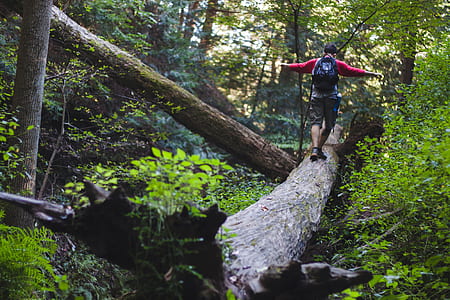man carrying backpack on brown log at day time thumbnail