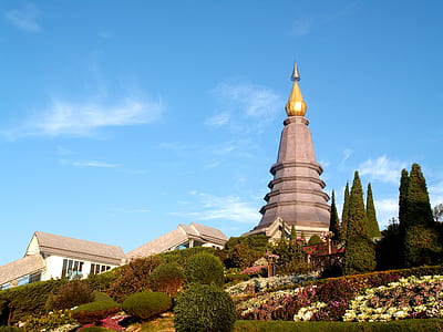flowers, building, garden, park thumbnail