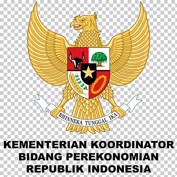 Dream League Soccer National Emblem Of Indonesia Logo Kit T Shirt