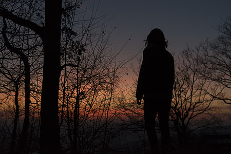 silhouette of person standing near bare tree during nighttime thumbnail