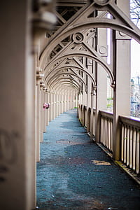 brown arc pathway with green rug photography thumbnail