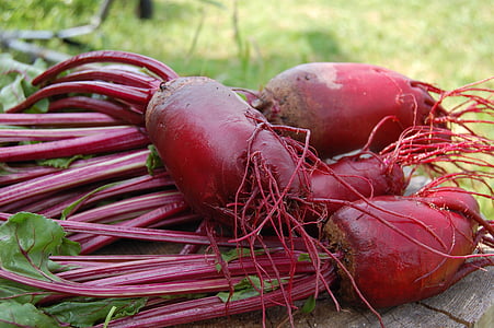 closeup photography of red bulb crops during daytime thumbnail